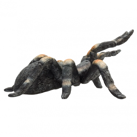 Universāls pielietojums: spēlei, kolekcijai un mācībām