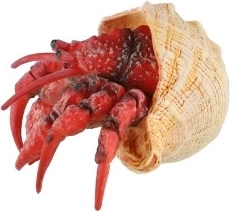 Kompakts 7 cm izmērs un universāls pielietojums