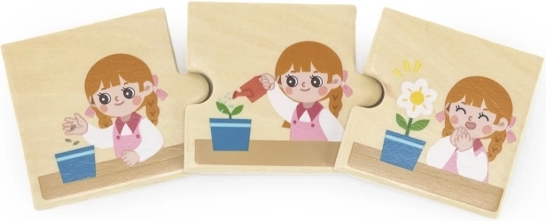 Wooden Material