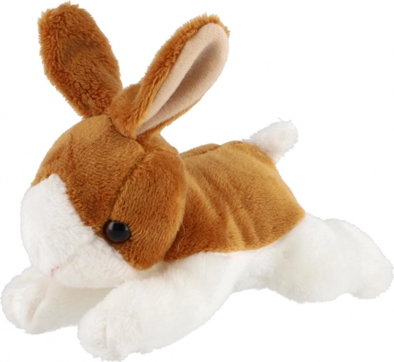 Mīlīgas, realistiskas detaļas