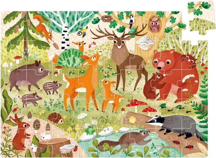 Interactive forest fun