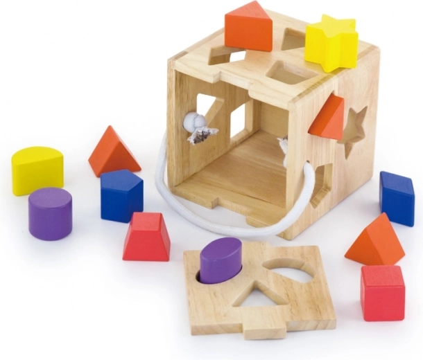 Motor Skills Development