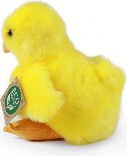 ECO FRIENDLY pildījums no pārstrādātām PET pudelēm