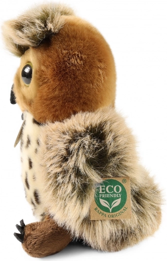 ECO-FRIENDLY pildījums