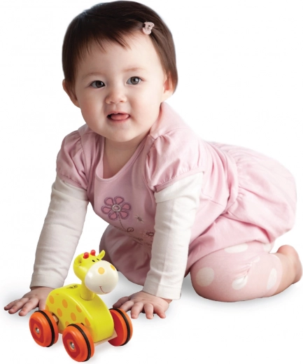 Encourages active play