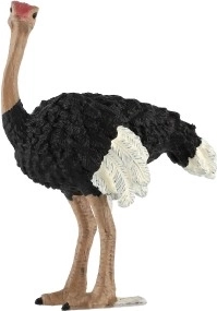 Izglītojošā vērtība