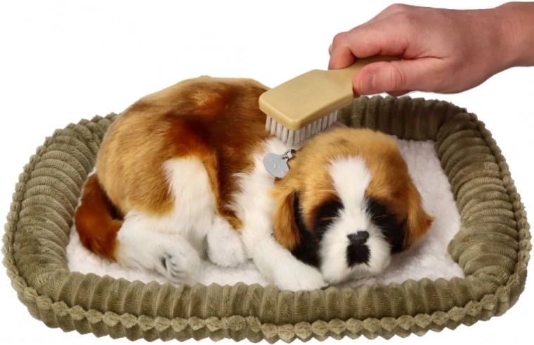 Maigs kažociņš un vienkārša kopšana