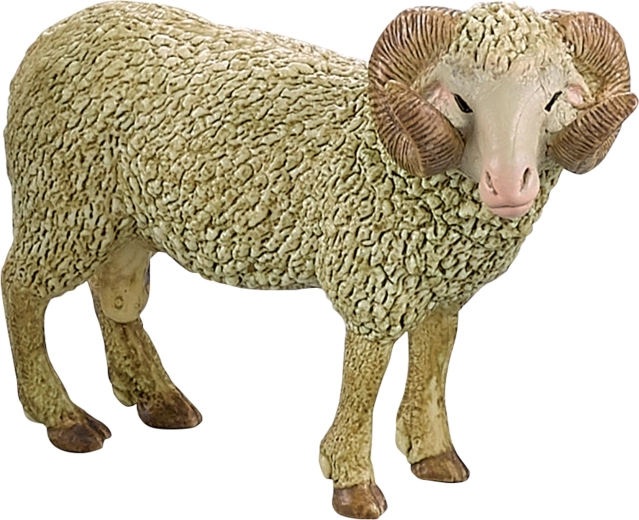 Detalizēti izstrādāts auns