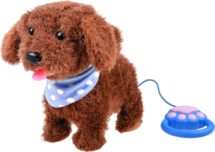 Leash control