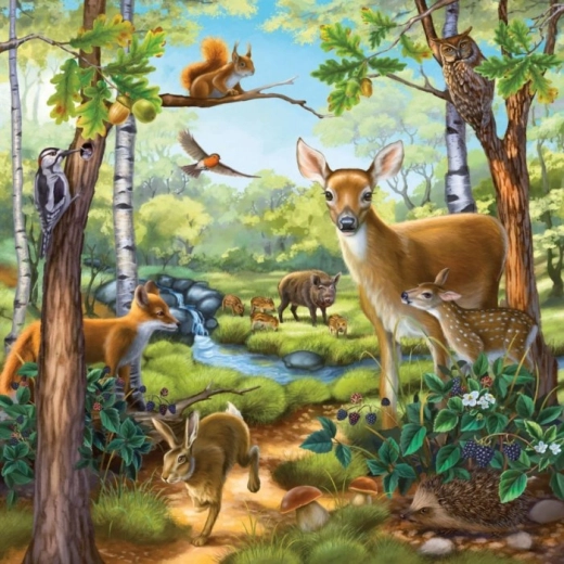 Forest animals – magical nature