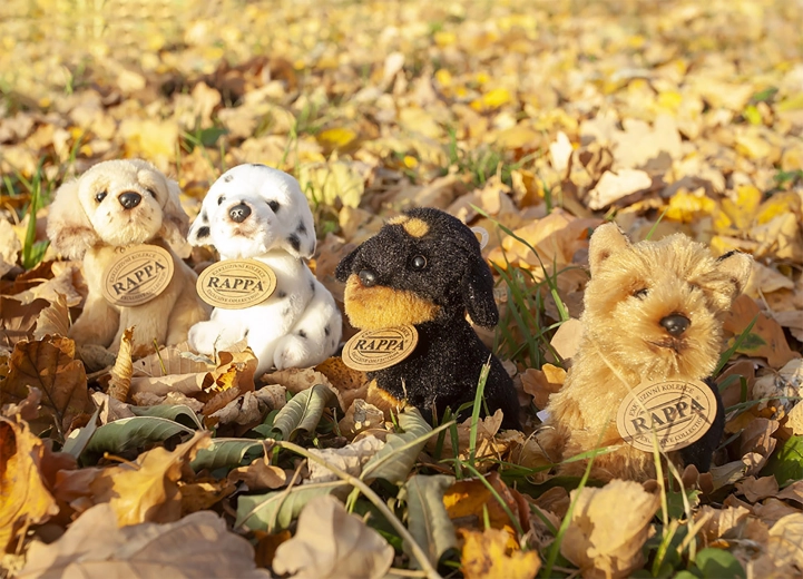 Drošība un kvalitāte