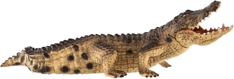 Realistiskas detaļas un dabiskas krāsas