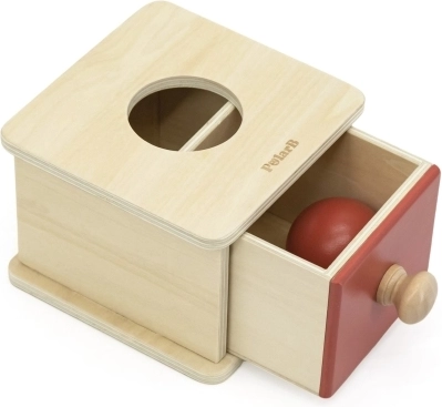 Montessori priekšmetu pastāvības apguve