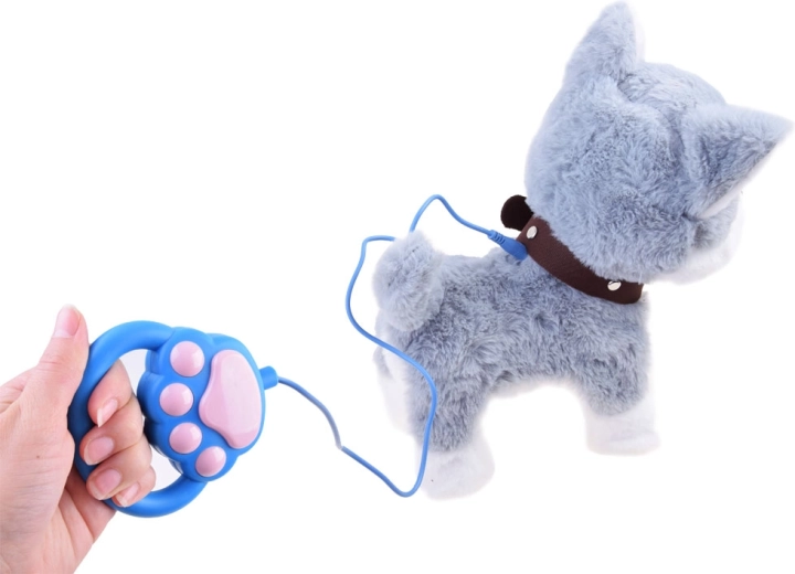 Staigāšana ar pavadu un vienkārša vadība