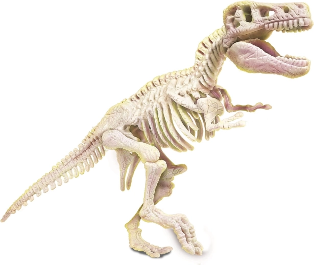 Saliec fosforizējošu skeletu
