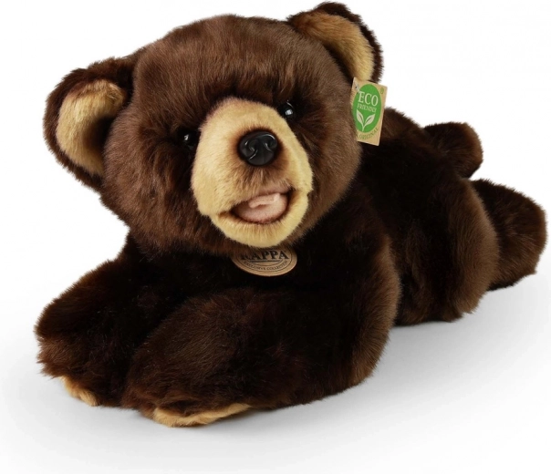 ECO Friendly pildījums no pārstrādāta PET