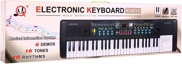 Comprehensive Musical Experience