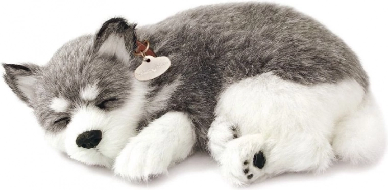 Reālistiska elpošana un maigs izskats