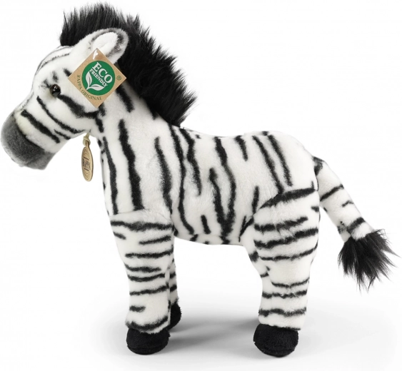 Droši no dzimšanas