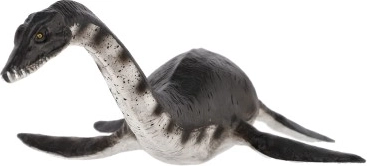 Ideāli piemērota mācībām un kolekcijām