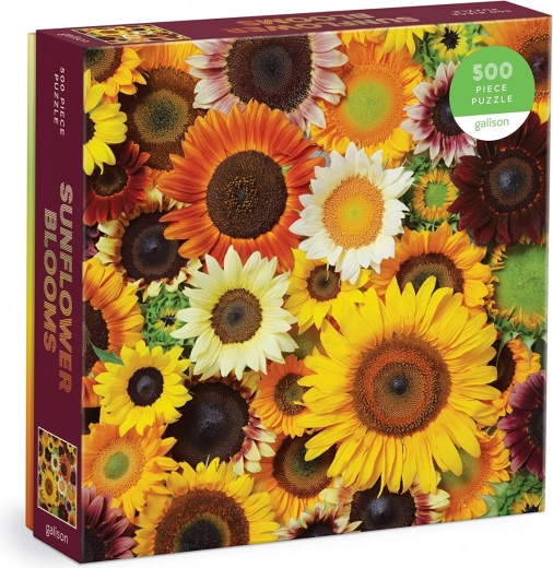 A radiant design that brightens your home