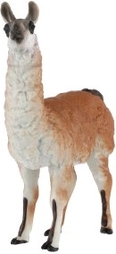 Ideāli piemērota mācībām un kā dekorācija