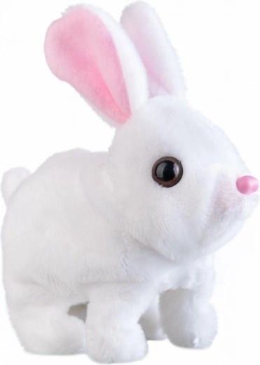 Lēkā, kustinā ausis un runā