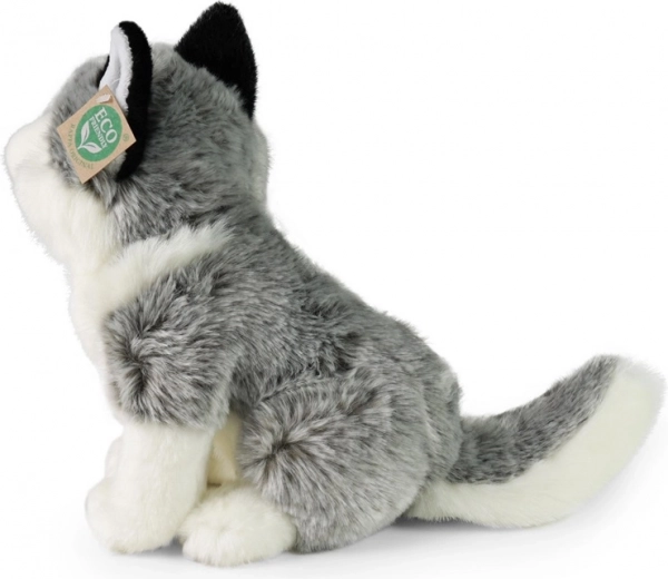 Eco-friendly pildījums