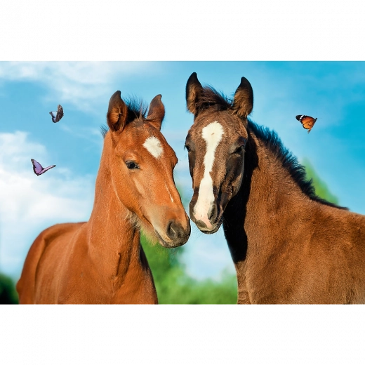 Pilnīgs attēls ar mazuļiem