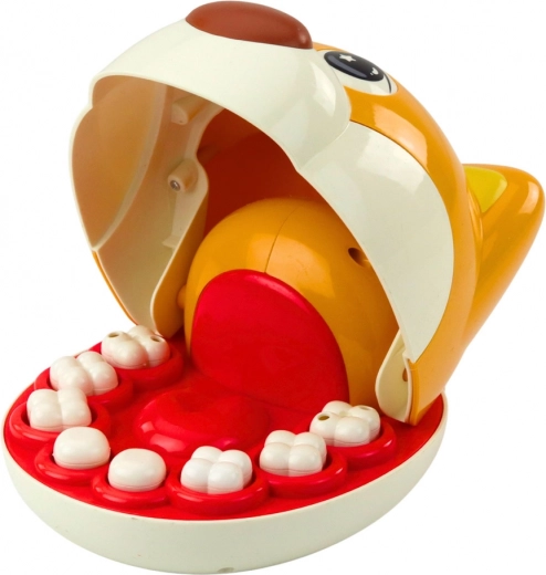 8 izņemami zobi un reālistiski instrumenti