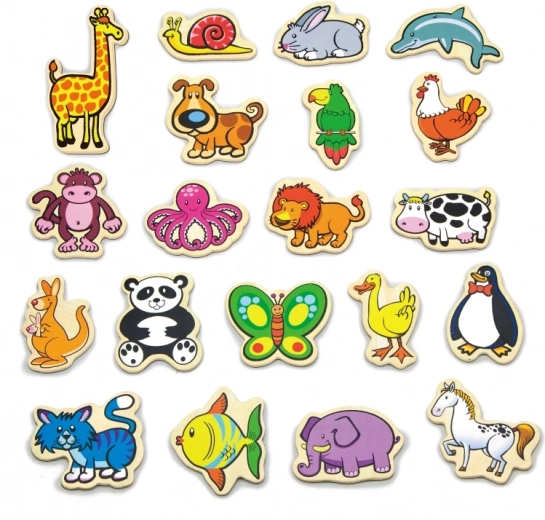 Krāsainas magnētiskās figūriņas