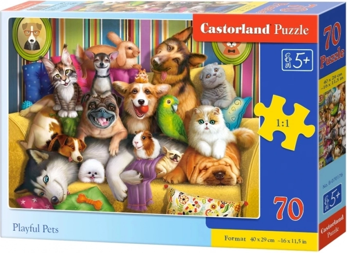 Fun pet motif