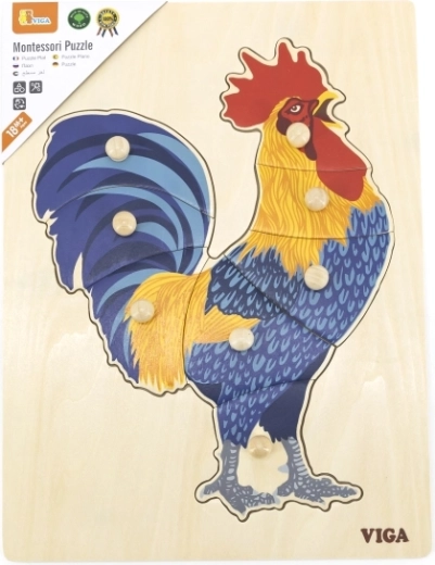 Formu apguve un loģiska likšana