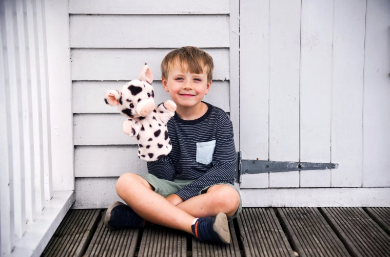 Prasmju attīstības atbalsts