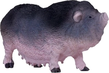 Izglītojošā vērtība
