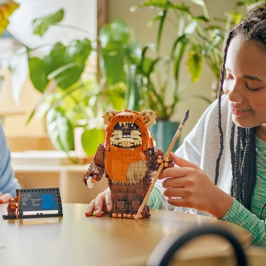 Minifigūriņa un informatīvā plāksnīte
