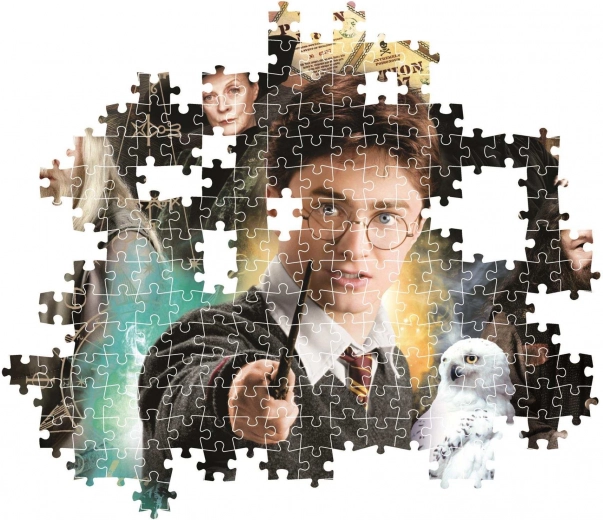 Maģisks HARRY POTTER motīvs