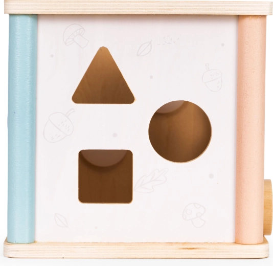 Formu šķirotājs ar krāsainiem klucīšiem