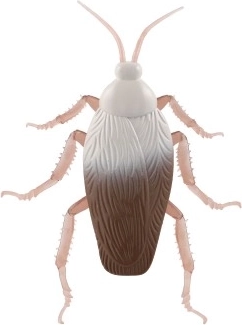 Reālistisks izpildījums