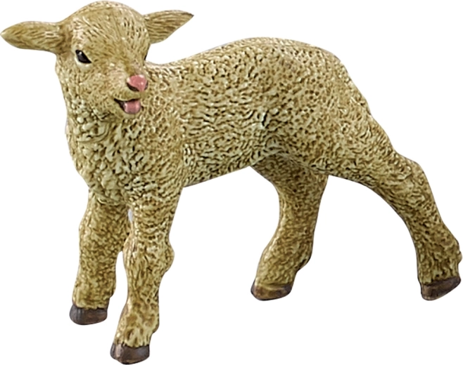 Dzīvi izskatīgs jērs