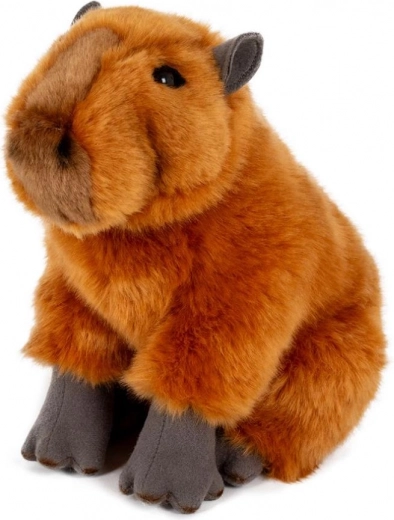 Maiga un mīļa katrai dienai