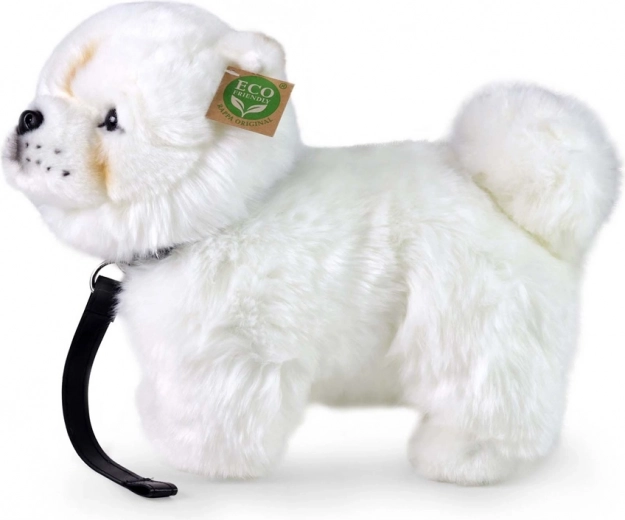 Eco‑friendly pildījums no PET pudelēm