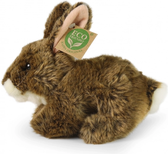 Eco-friendly pildījums