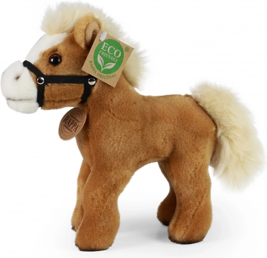 Eco‑friendly pildījums no pārstrādāta PET