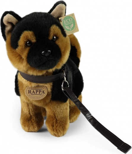 Eco Friendly pildījums