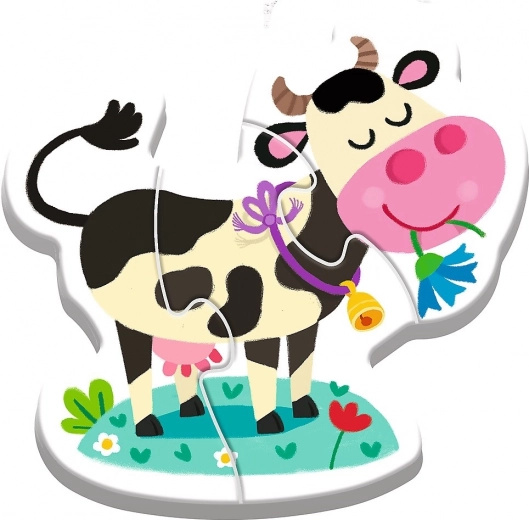 Krāsainas un pievilcīgas ilustrācijas
