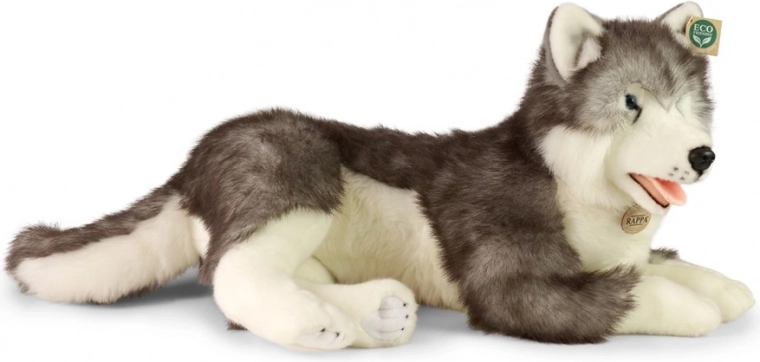 ECO‑FRIENDLY pildījums no PET pudelēm