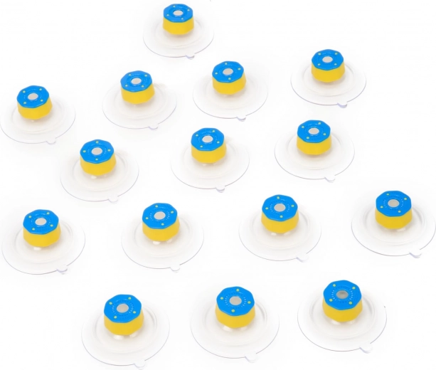 Compact suction cups with magnets