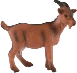 Izglītojošs mērķis