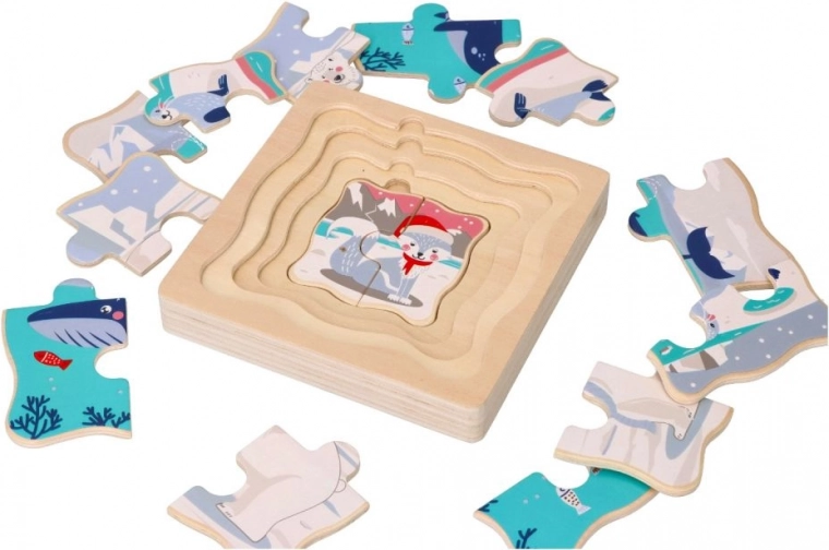 Aizraujoša arktiskā tematika